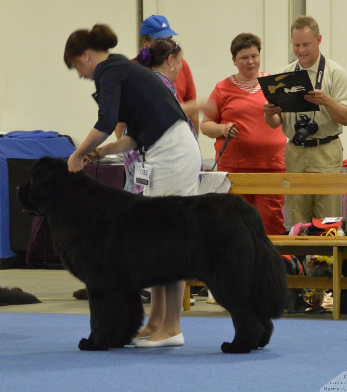 Фотография № 161253