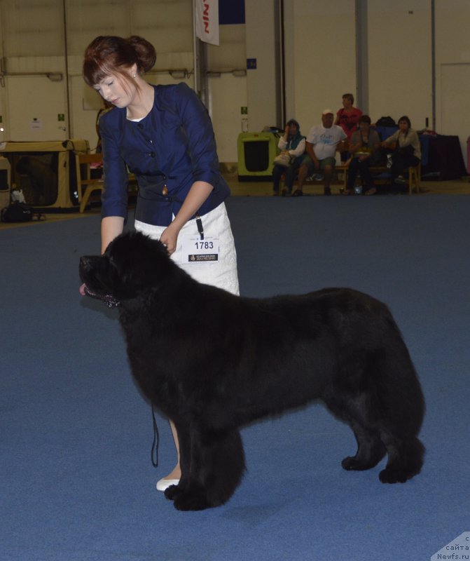 Фотография № 161254