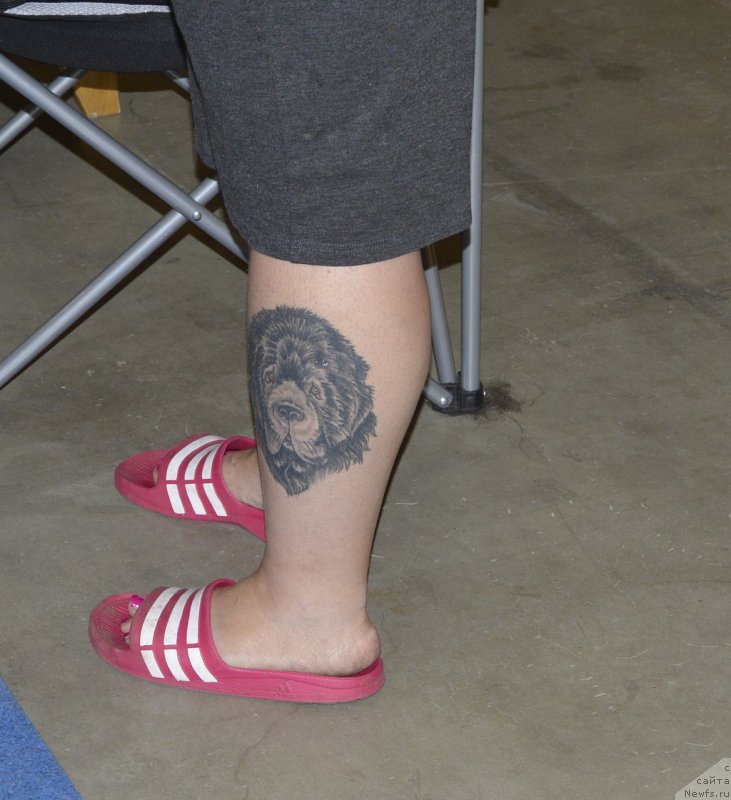 Фотография № 161255