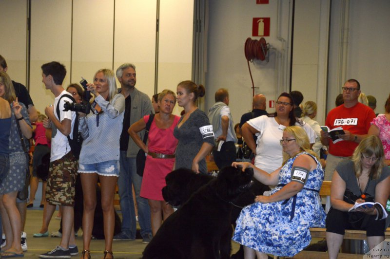 Фотография № 161256