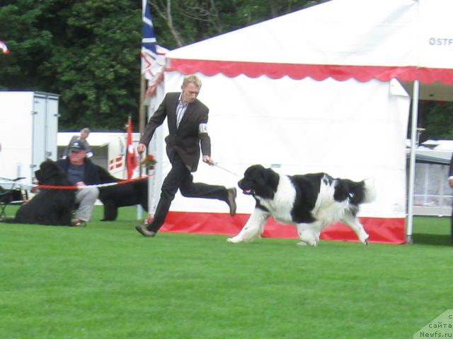 Фотография № 16126