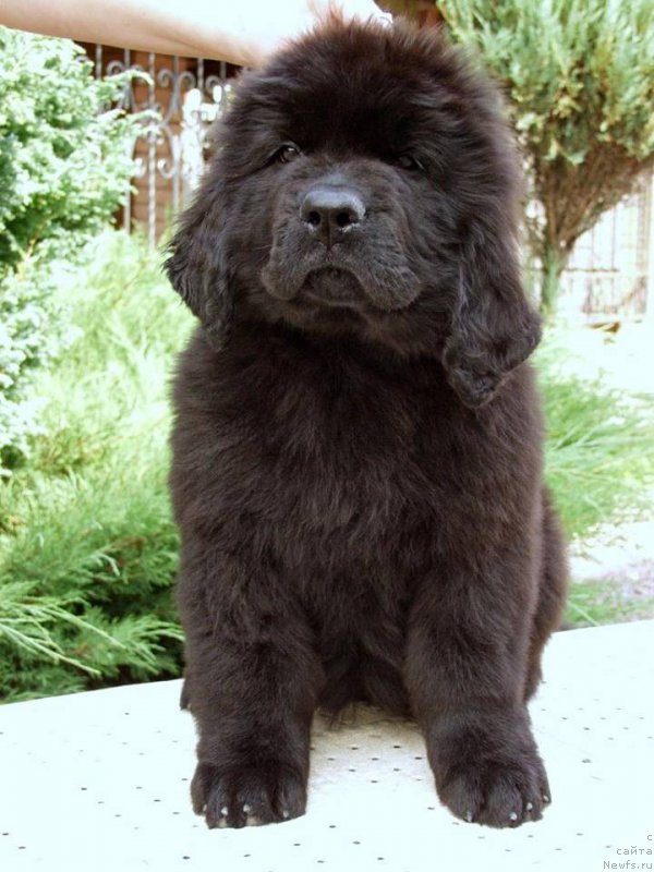 Фото: Наталья Дубовская