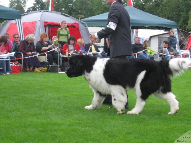 Фото: Clark Gable