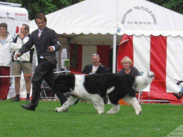 Фотография № 16130