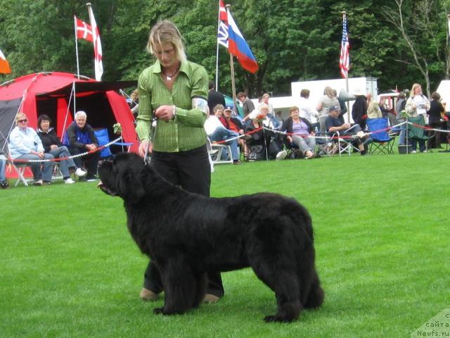 Фотография № 16132