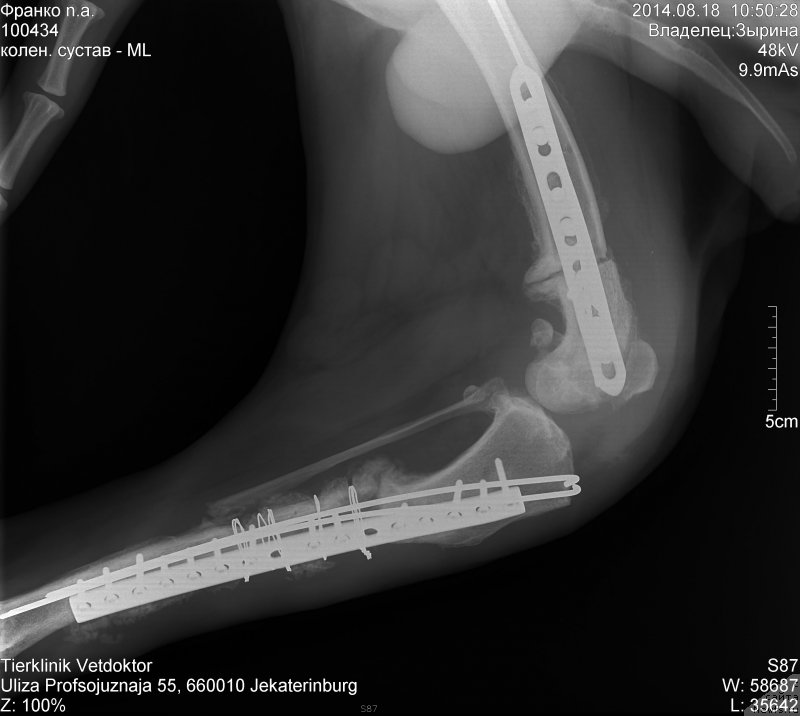 Фотография № 161323