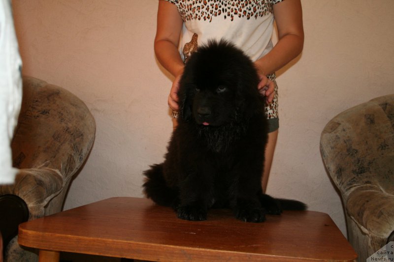 Фотография № 161328