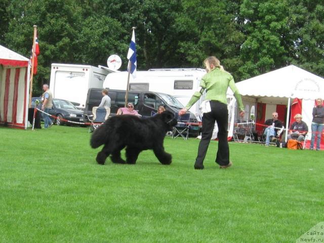 Фотография № 16133