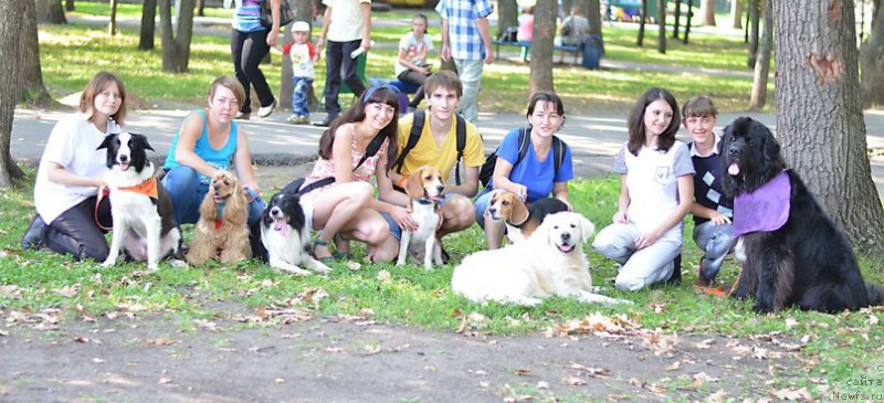 Фото: ньюфаундленд Кипер Соул Лайон Хэерт, Ольга Иванова