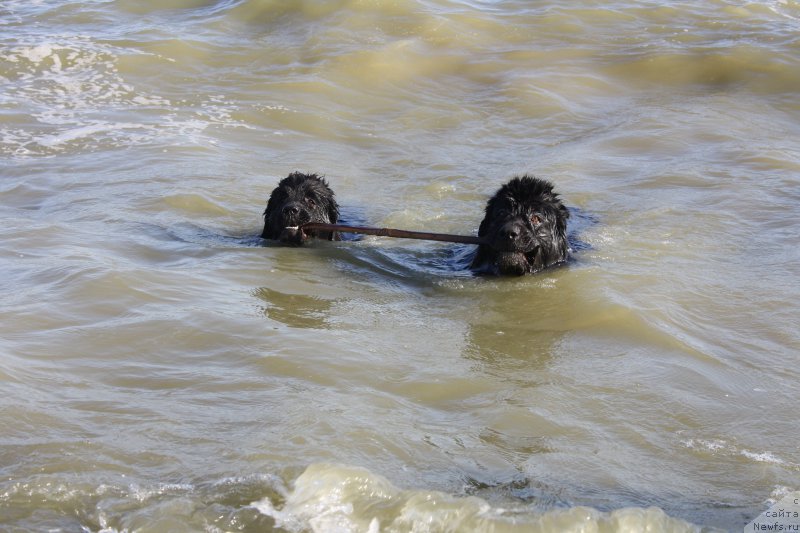 Фотография № 161355