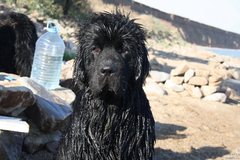 Фотография № 161358