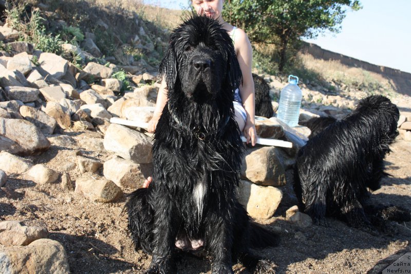 Фотография № 161359