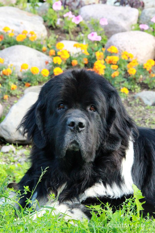 Фотография № 161361