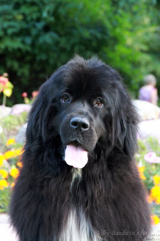 Фотография № 161364