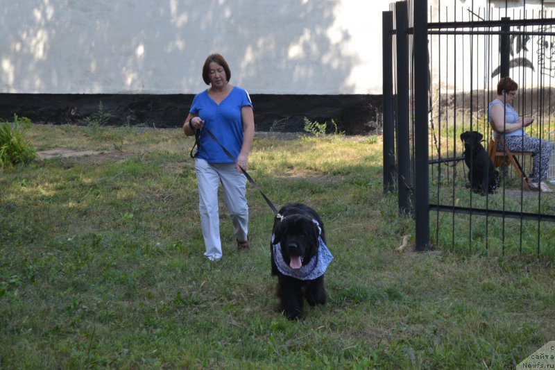 Фотография № 161368