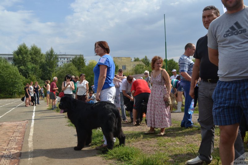 Фотография № 161371