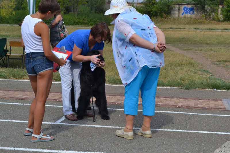 Фотография № 161372