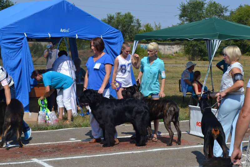 Фотография № 161374