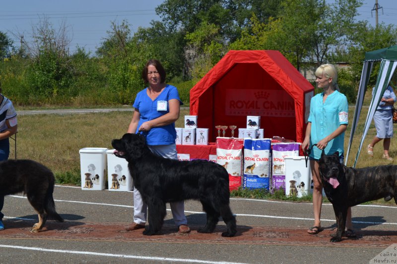 Фотография № 161376