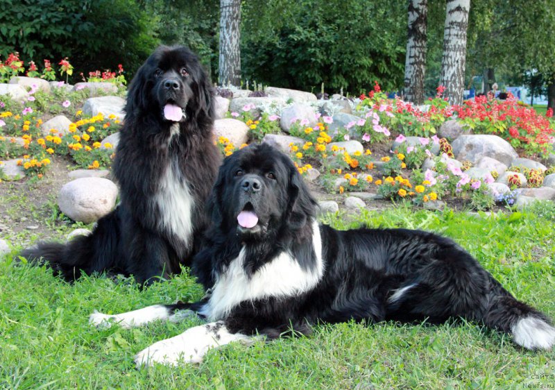 Фотография № 161378