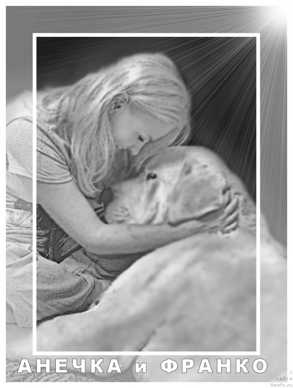 Фотография № 161384