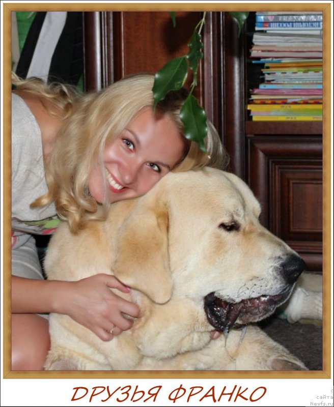 Фотография № 161385