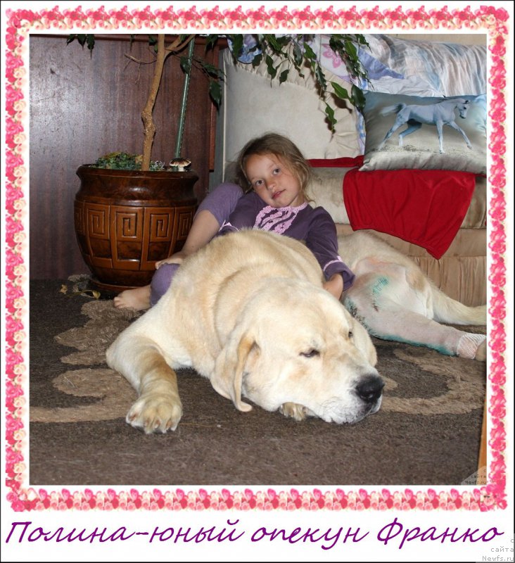 Фотография № 161386