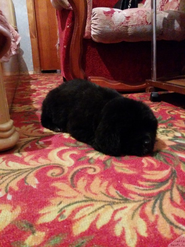 Фото: Татьяна Тетюрикова