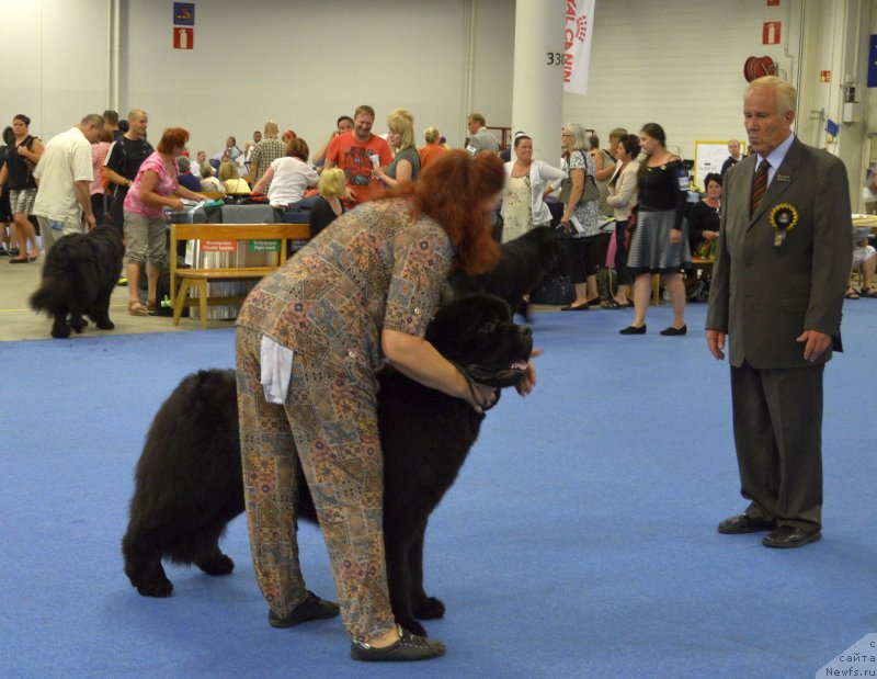 Фотография № 161389