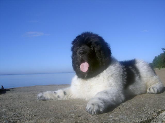 Фотография № 16139