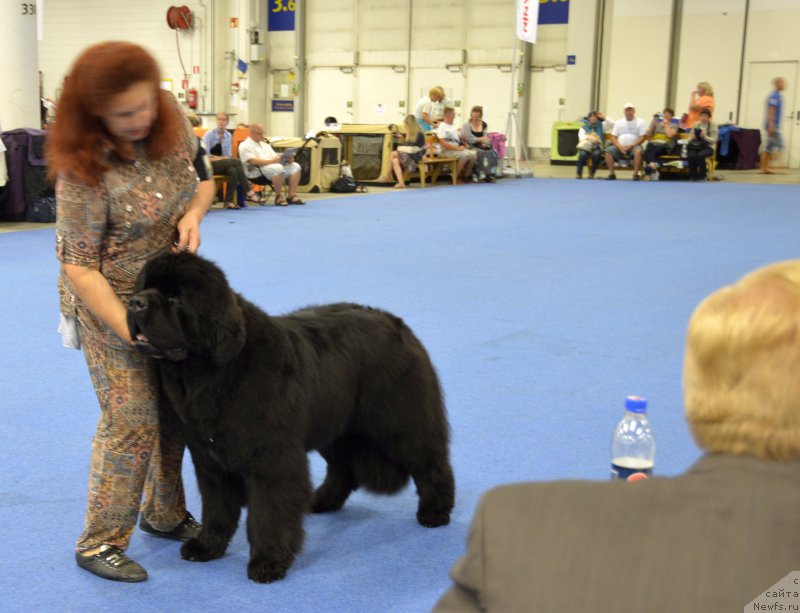 Фотография № 161390