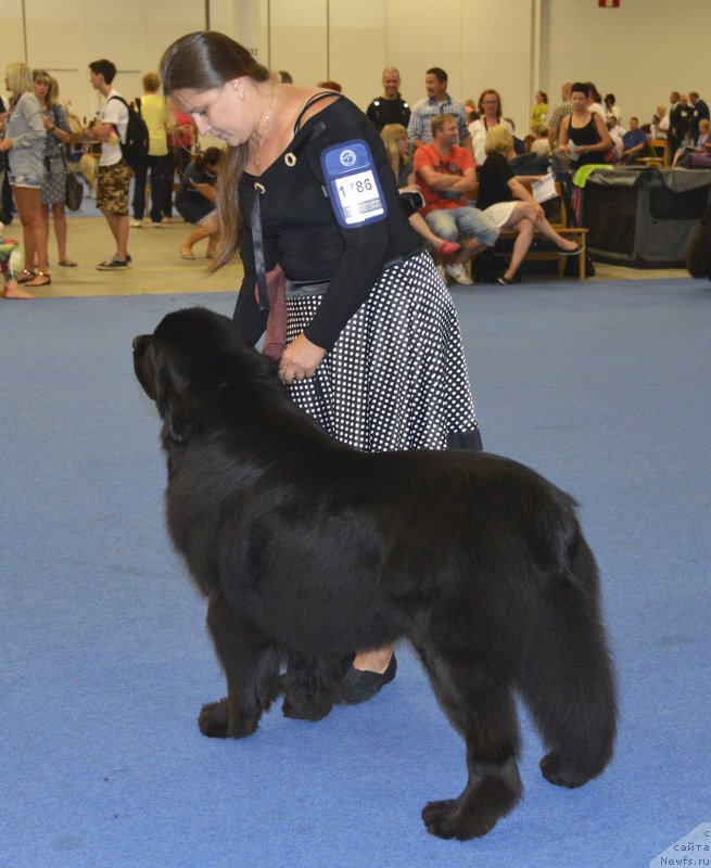 Фотография № 161392