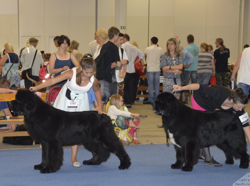 Фотография № 161394