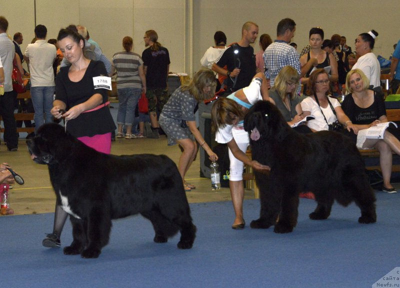 Фотография № 161395