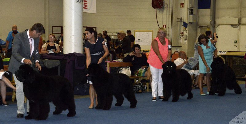 Фотография № 161397