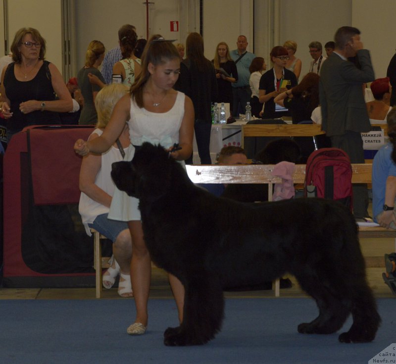 Фотография № 161398