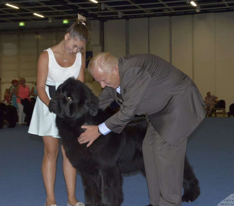 Фотография № 161401