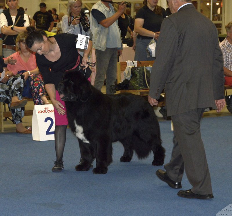 Фотография № 161407