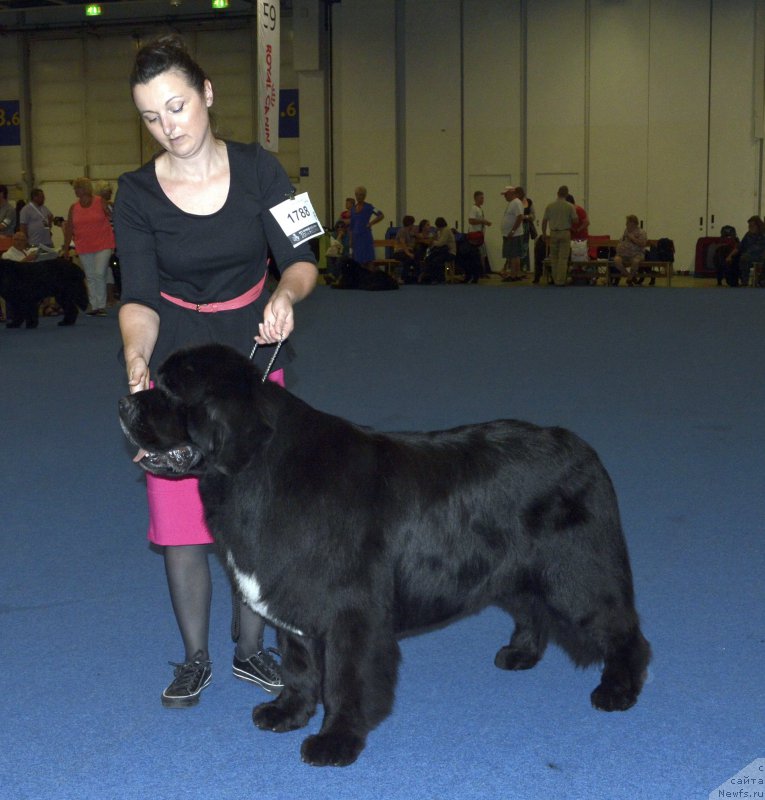 Фотография № 161408