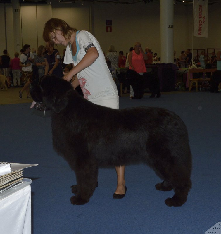 Фотография № 161410