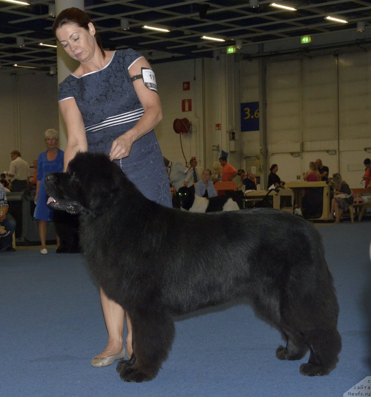 Фотография № 161412