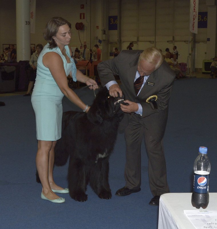 Фотография № 161414