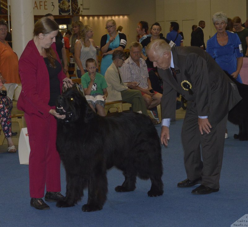 Фотография № 161416