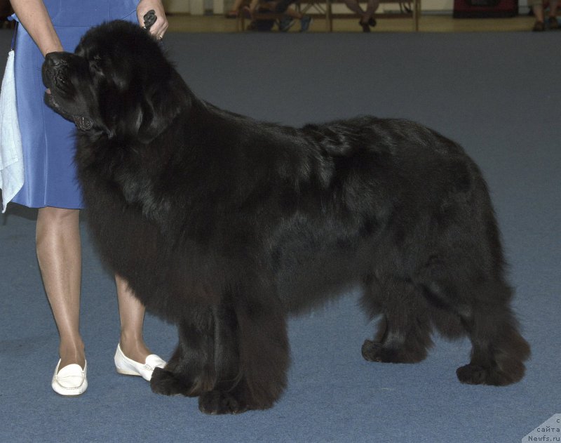 Фотография № 161419