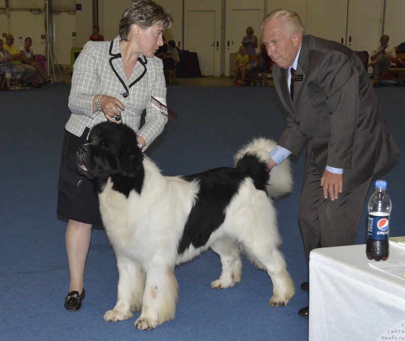 Фотография № 161421