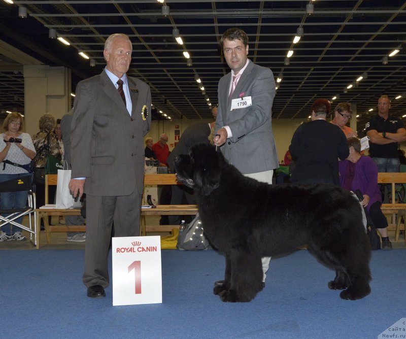 Фотография № 161422