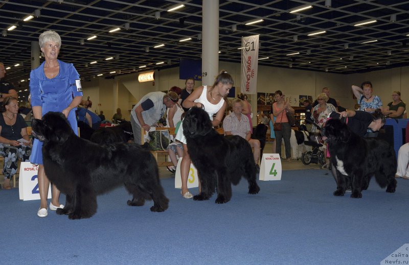 Фотография № 161423