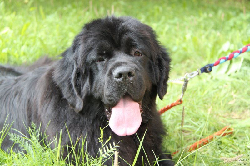 Фотография № 161436