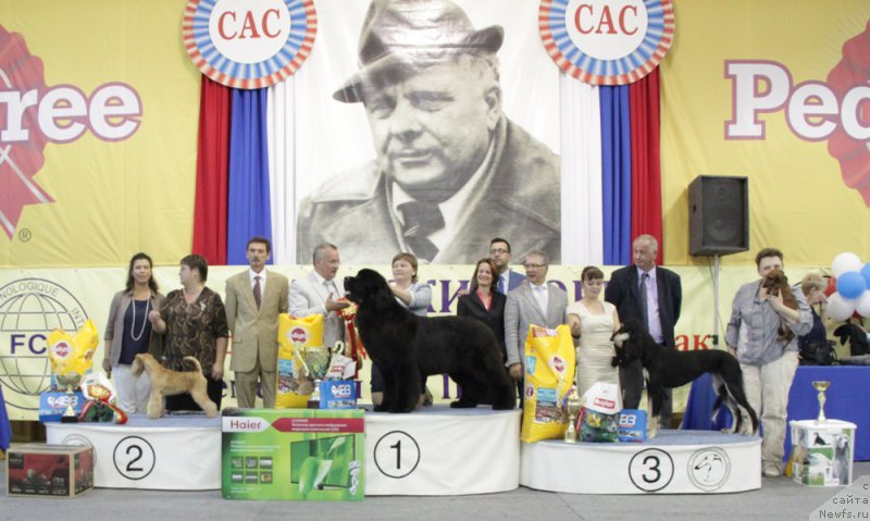 Фотография № 161438