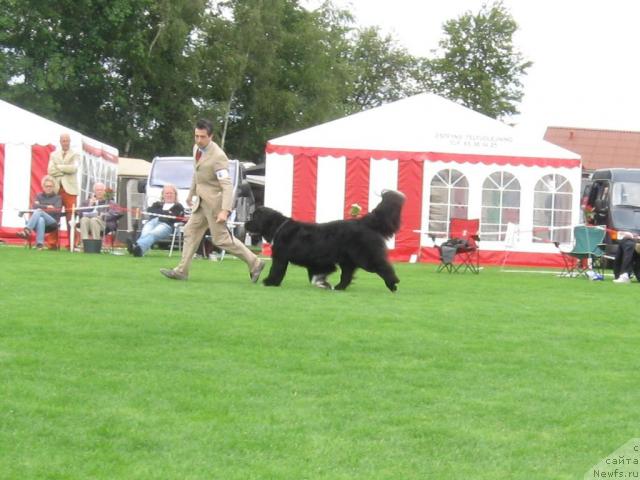 Фотография № 16144